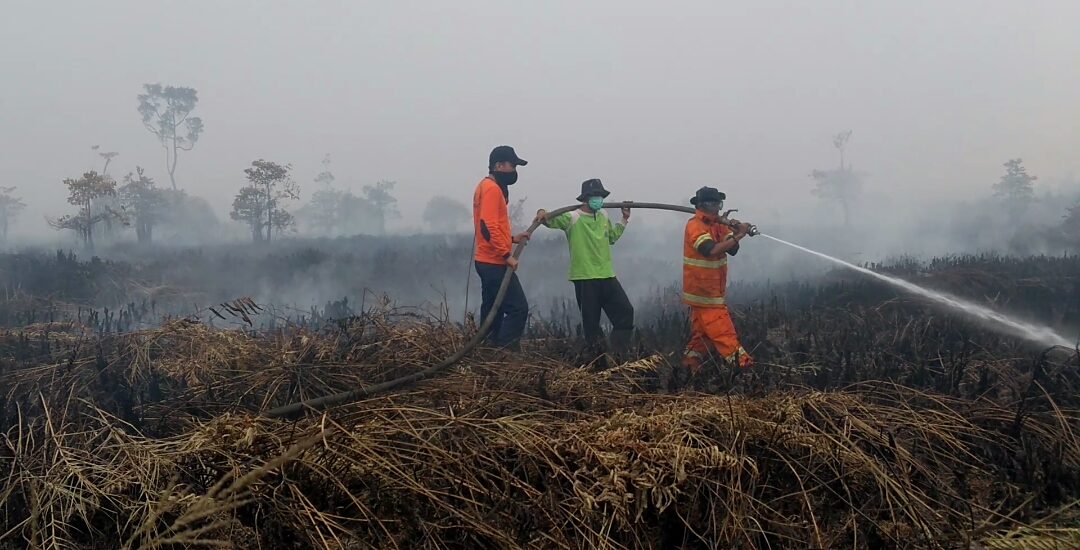 Kebakaran Hutan Lahan, Tim Disbunak Laksanakan Pemadaman