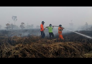 Kebakaran Hutan Lahan, Tim Disbunak Laksanakan Pemadaman
