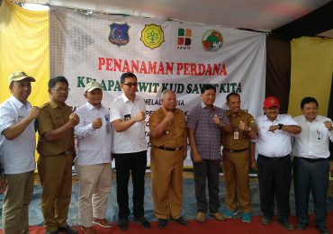 Penanaman Perdana Kelapa Sawit Rakyat (PSR)