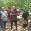 DISBUNNAK MENDAMPINGI ANGGOTA DPRD DHARMASRAYA DALAM RANGKA SHARING INFORMASI DAN KONSULTASI TERKAIT BUDIDAYA LEBAH MADU