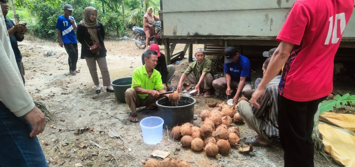 DISBUNNAK MELAKSANAKAN PELATIHAN PENGOLAHAN HASIL PERKEBUNAN (PEMBUATAN VCO)