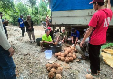 DISBUNNAK MELAKSANAKAN PELATIHAN PENGOLAHAN HASIL PERKEBUNAN (PEMBUATAN VCO)